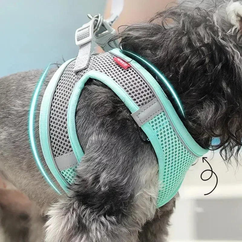 Pet Comfort Harness Set™