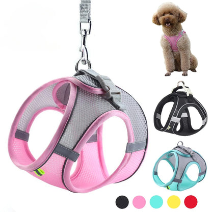 Pet Comfort Harness Set™