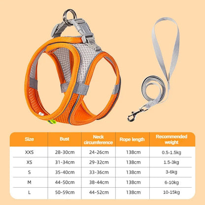 Pet Comfort Harness Set™