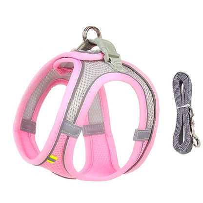 Pet Comfort Harness Set™