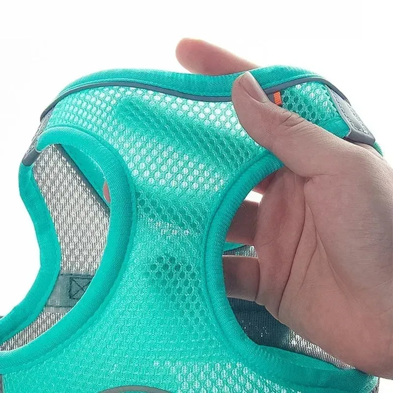 Pet Comfort Harness Set™