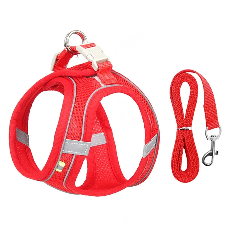 Pet Comfort Harness Set™