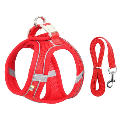 Pet Comfort Harness Set™