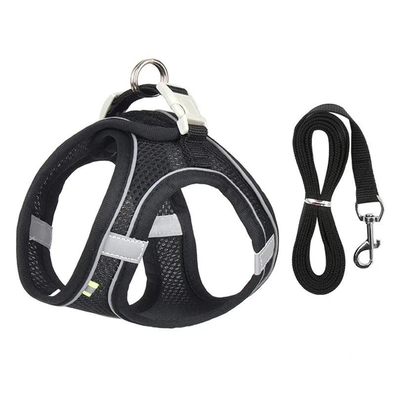 Pet Comfort Harness Set™